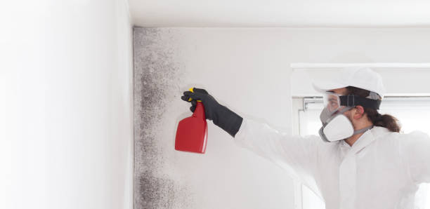 Best Mold Testing  in Shannon, GA