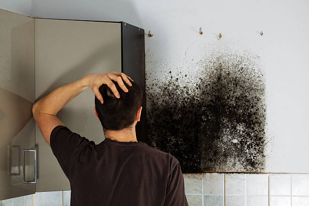 Crawl Space Mold Removal in Shannon, GA